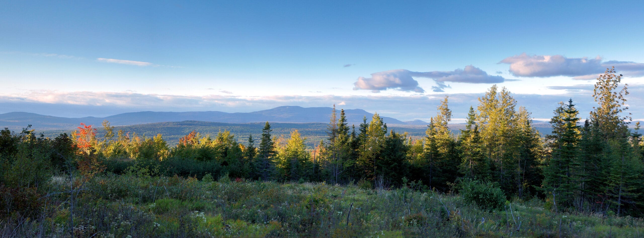 Moose River Valley Easterly View