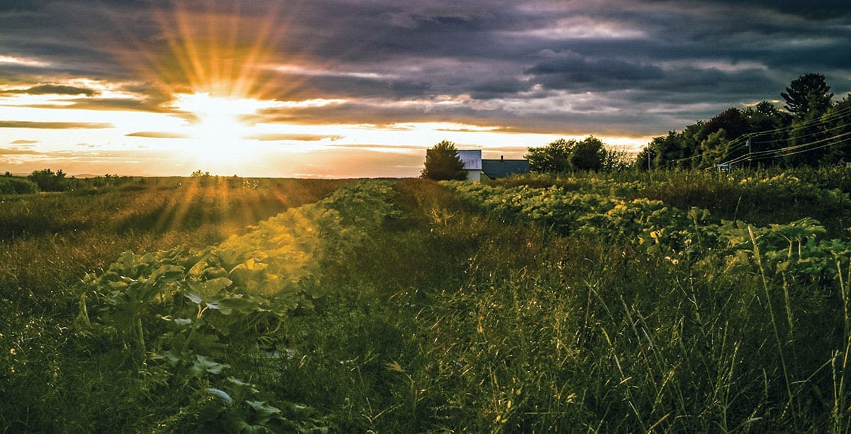 Sunset across the fields in Readfield.