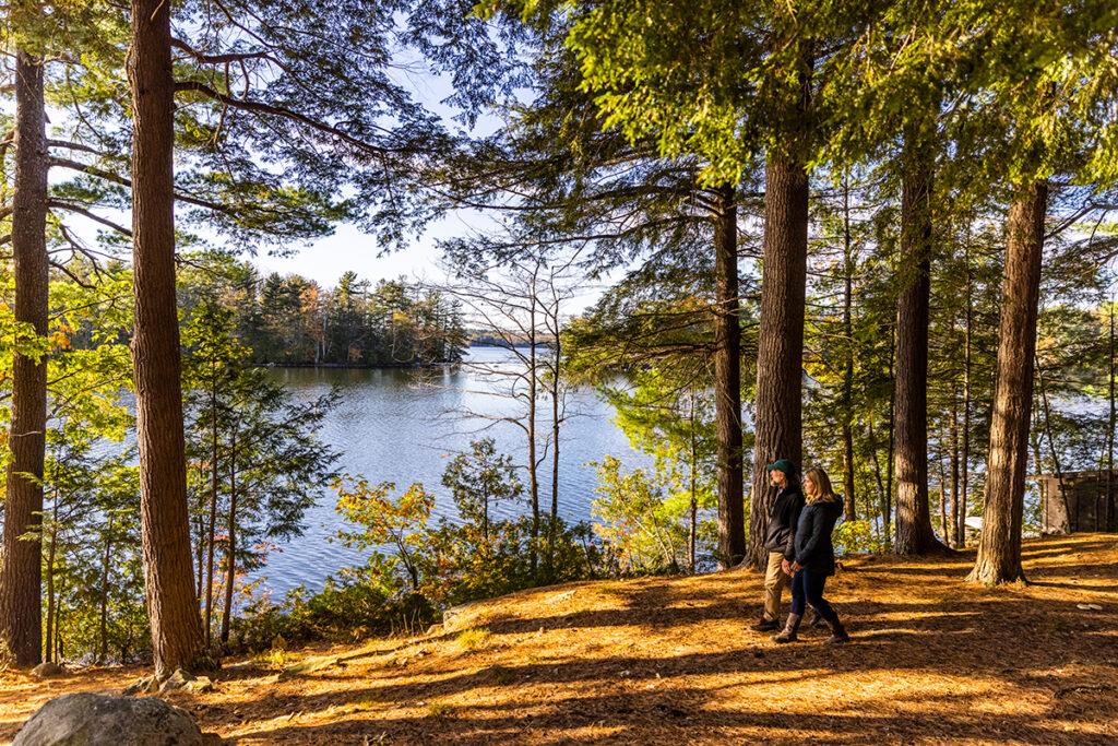 Fall hike through the woods in Maine's Kennebec Valley