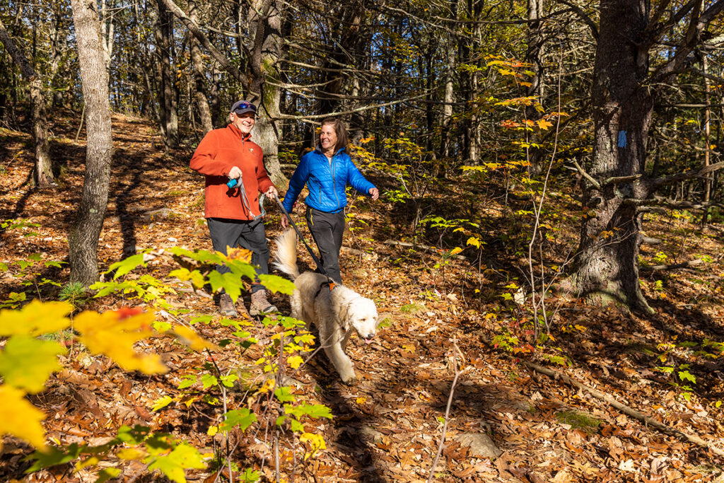 Fall hike through the woods.