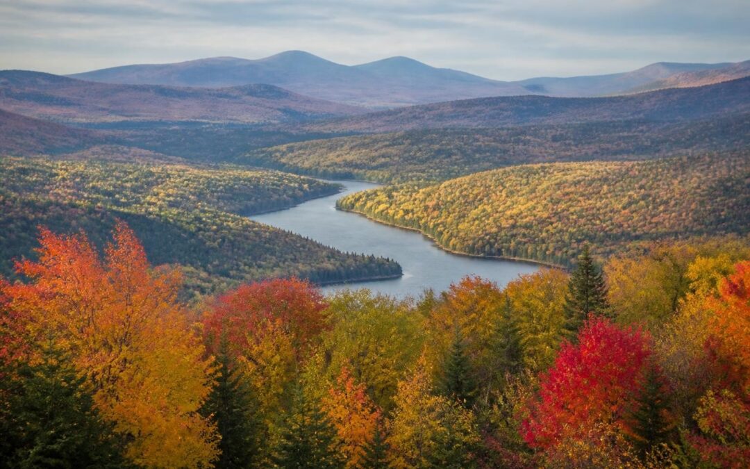 Fall in Maine: Complete Guide to Autumn in the Pine Tree State