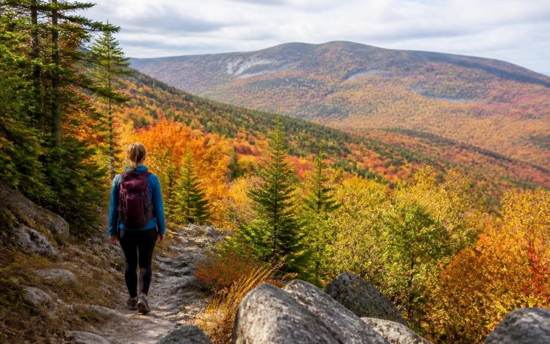 Best Fall Hikes in Maine: Your Ultimate Trail Guide