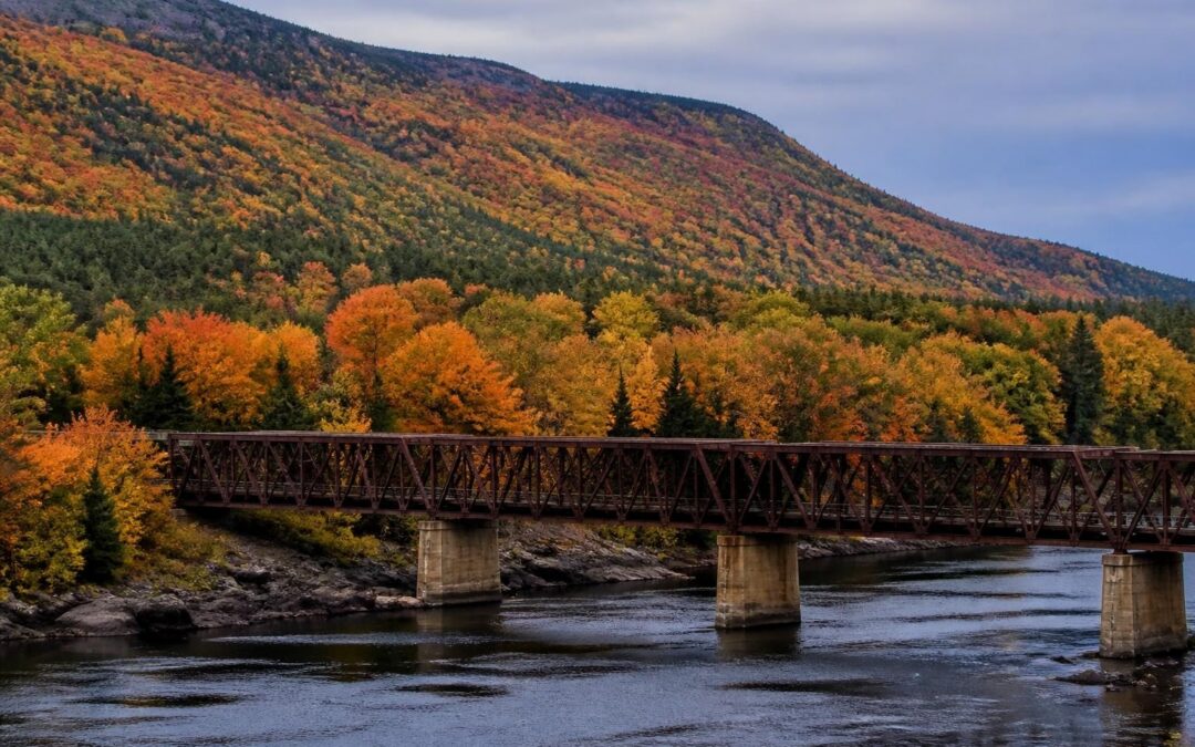 Foliage Peak in Maine: Timing, Locations & Travel Tips