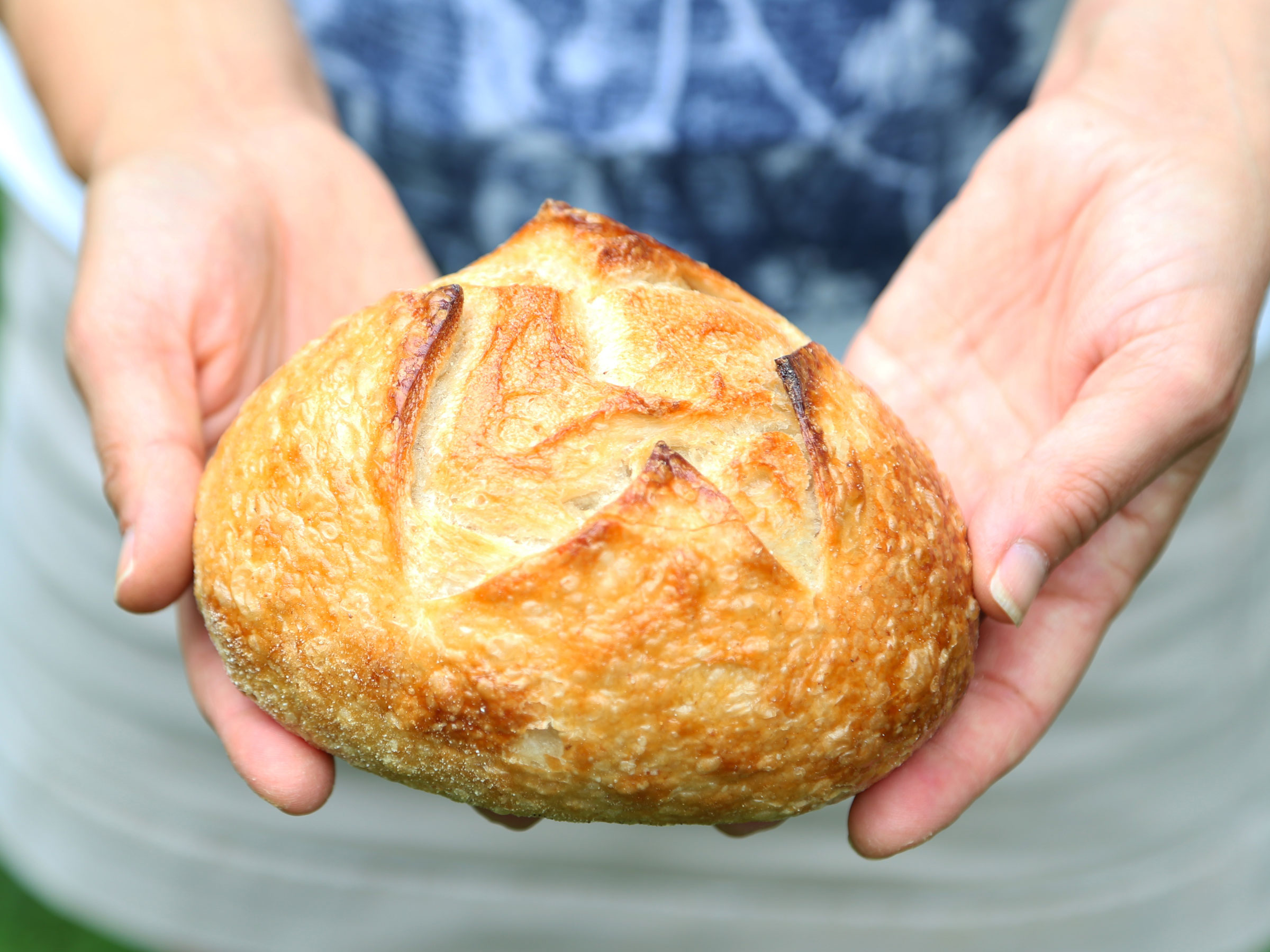 The Maine Artisan Bread Fair at the Skowhegan Fair Grounds