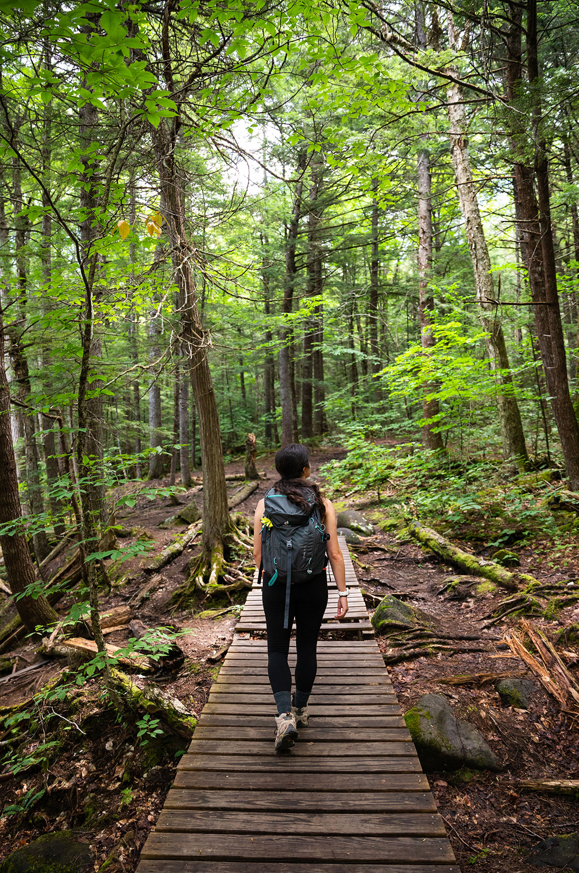 Hiking Experiences Visit Maines Kennebec Valley