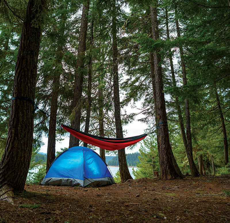 Remote Camping under the pines in Maine's Kennebec Valley